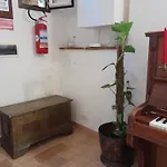 Domus Gelsomino *