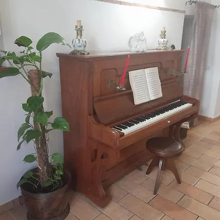 דירה Domus Gelsomino רומא