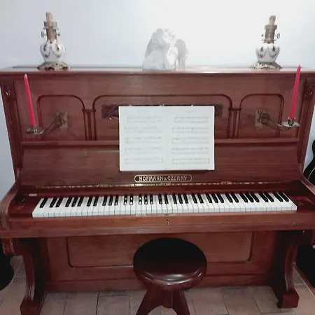 Domus Gelsomino * רומא