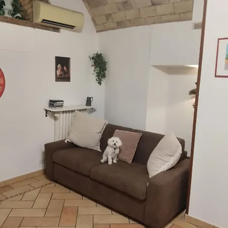 Domus Gelsomino