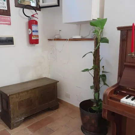 Domus Gelsomino *
